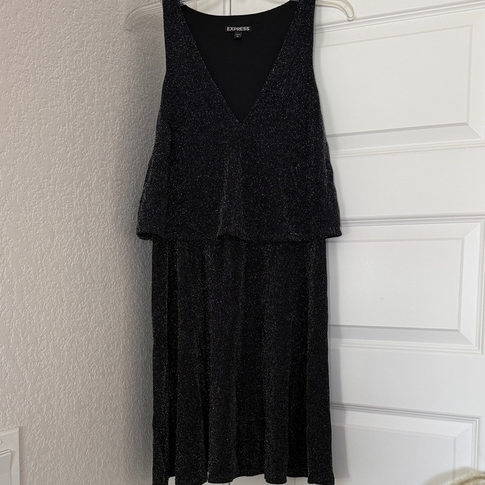 Express Glittery Sleeveless Dress